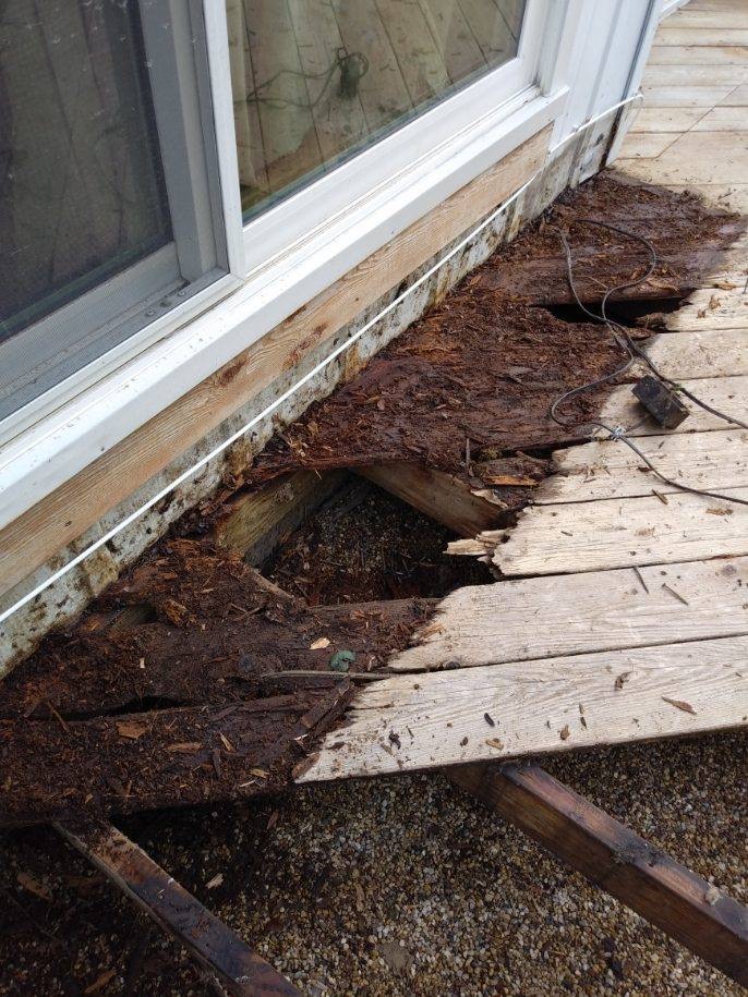 deck board rot