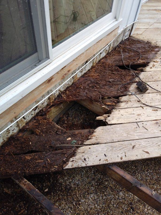 deck board rot 