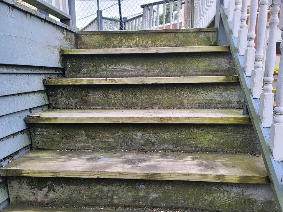 moldy wood deck boards