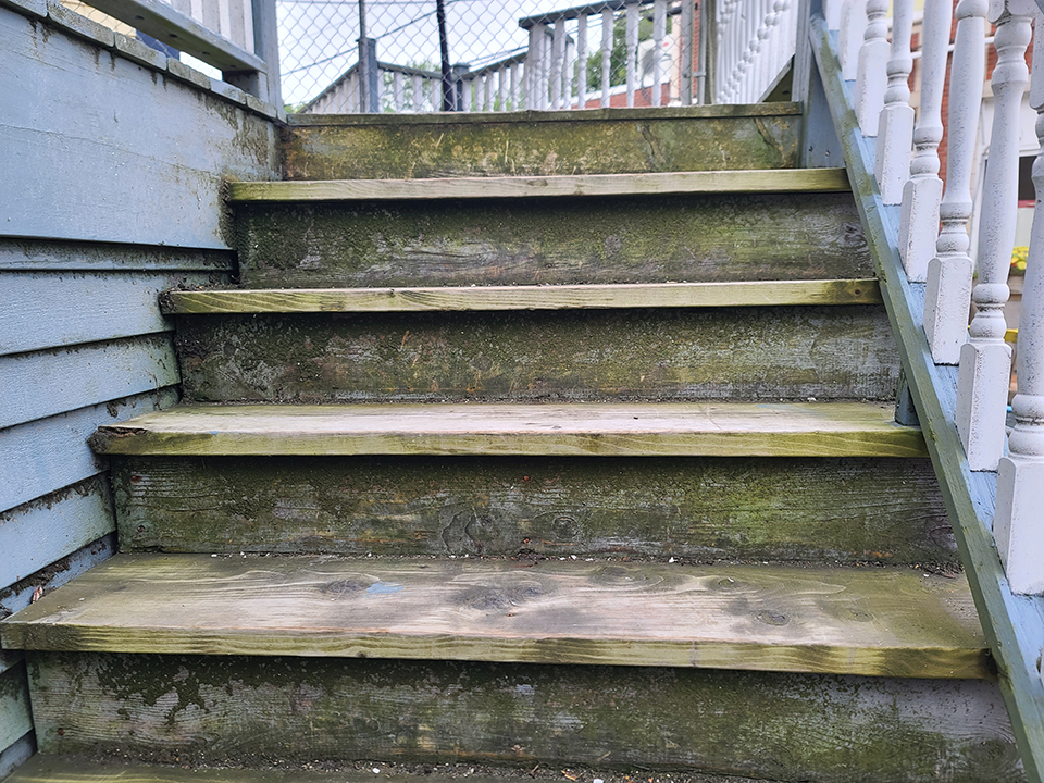 moldy old deck boards

