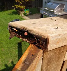 Deck Damage Repair