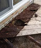 Rotting Deck Boards