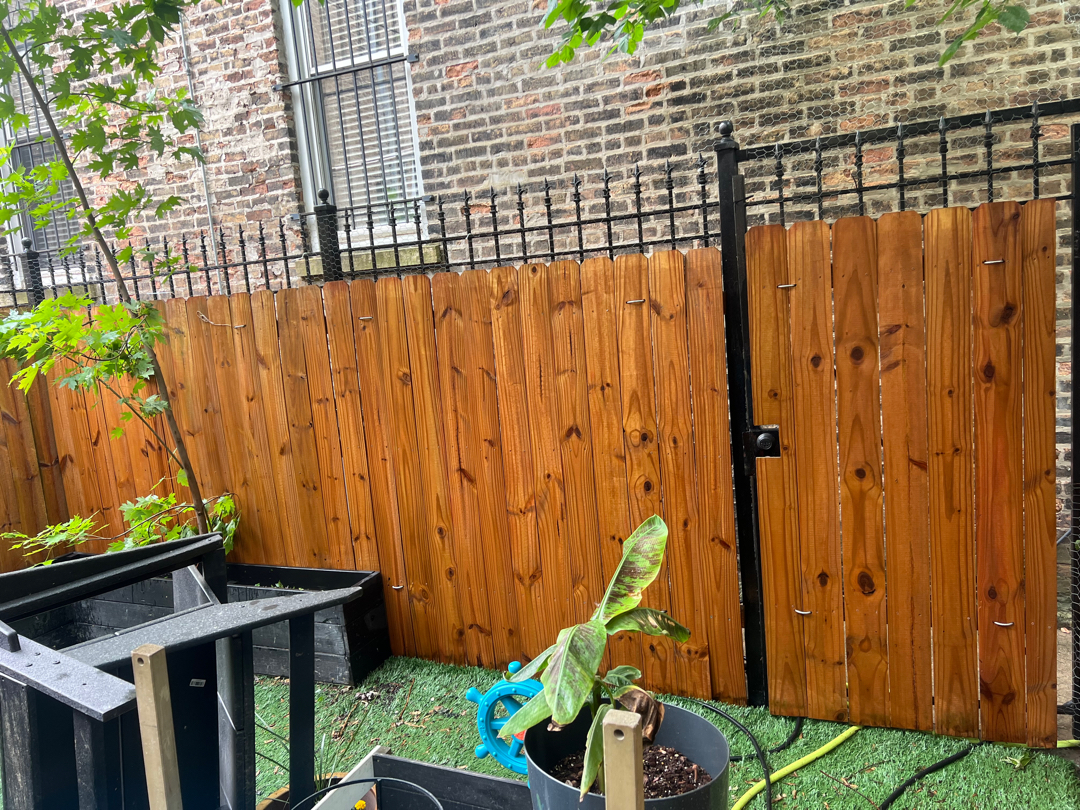 Freshly stained wood privacy fence in a warm brown tone